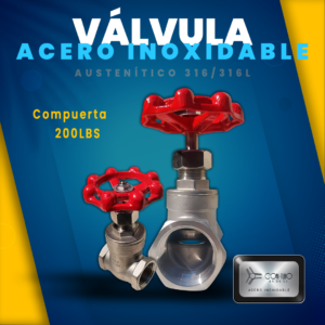 Valvula compuerta 200 libras Acero Inoxidable