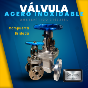 Valvula compuerta bridada Acero Inoxidable