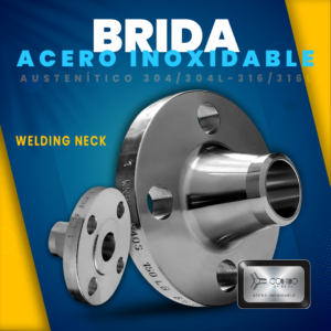 Brida WN Acero Inoxidable